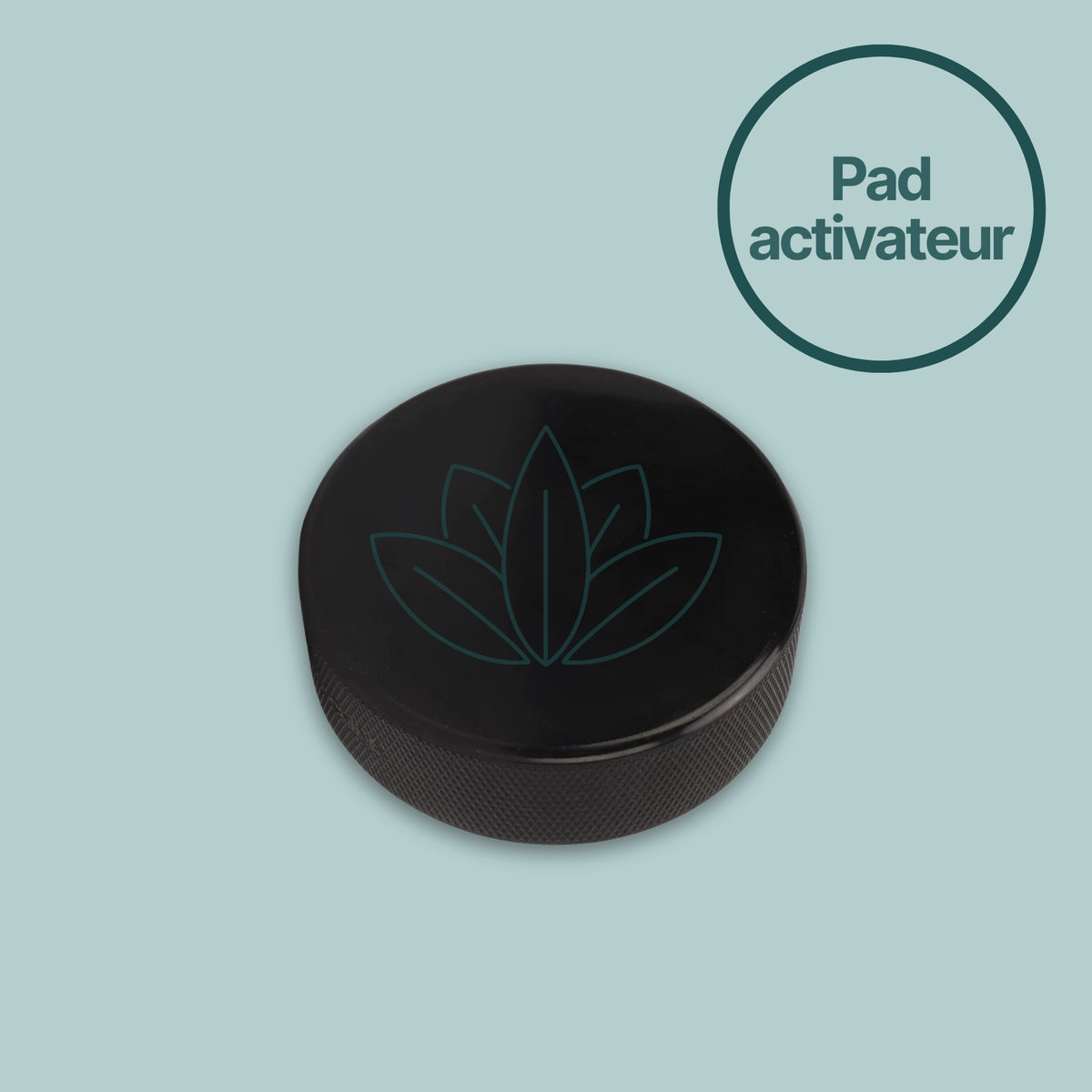 Activateur pour diapason